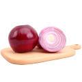 Selling chinese fresh red onion wholesale onion per ton price